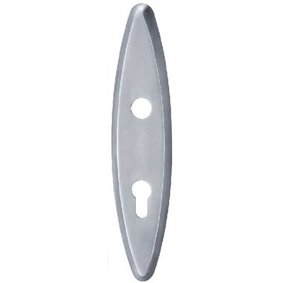 Stainless Steel Handle Plate